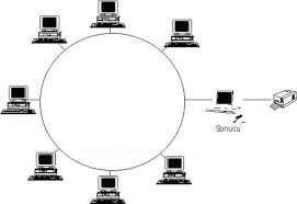Bitchat.tr Dağıtık Ağ Yapısı